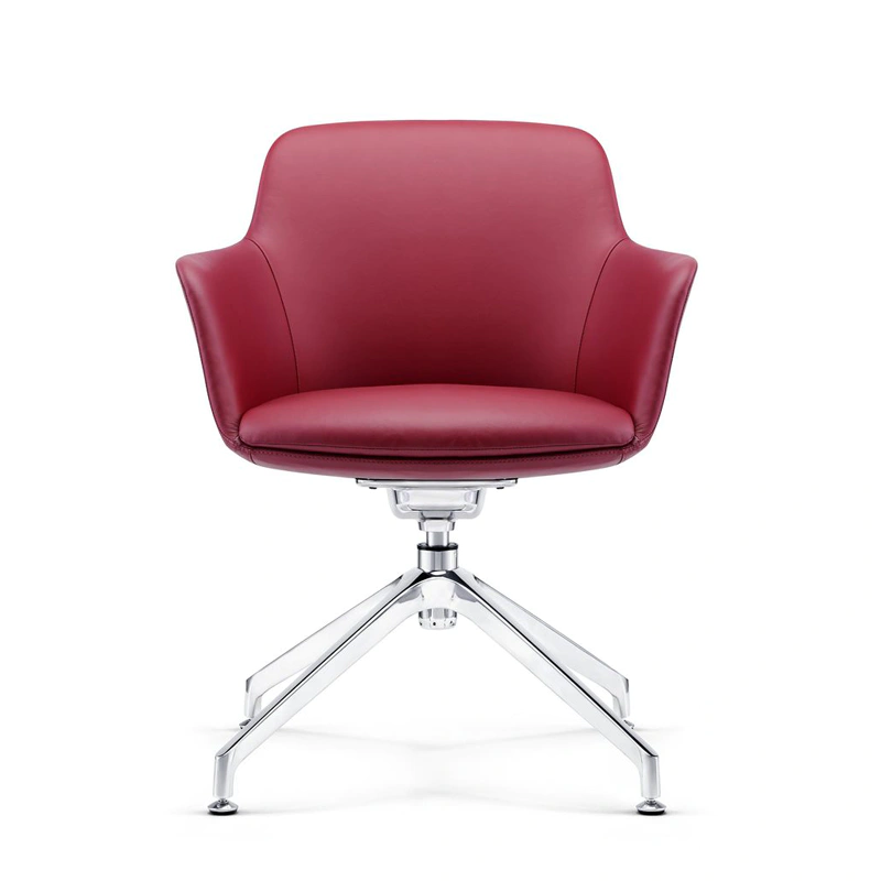 product-French style office furniture chair latest design for leisure area C1816-Furicco-img-1
