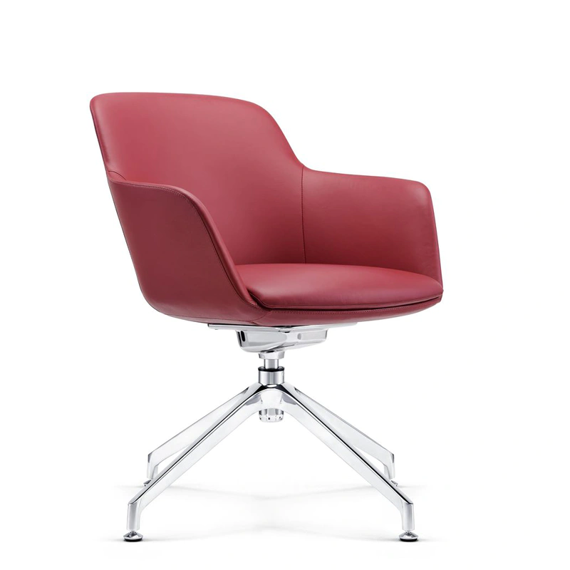 product-Furicco-French style office furniture chair latest design for leisure area C1816-img
