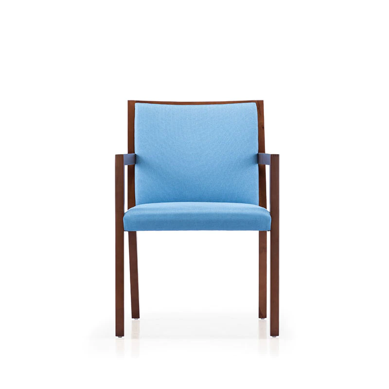 product-Simple Luxury and Natural Armchair C1803-Furicco-img-1