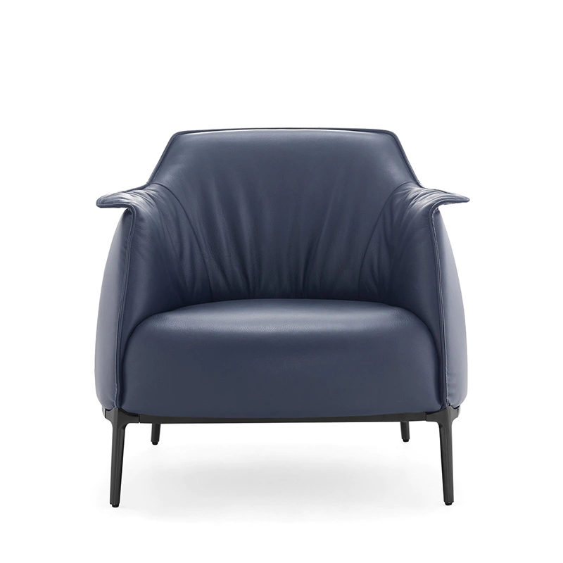 product-Luxury Armchair indoor living room leisure single chair FU8021-Furicco-img-1